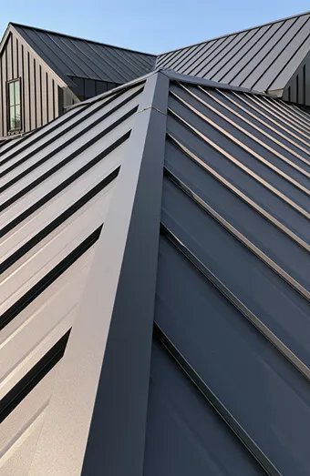 Metal Roofing X